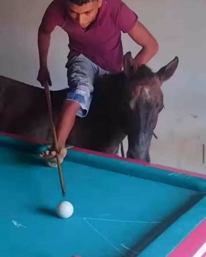 54 Pics From The Weird Side Of The Internet (New Pics)