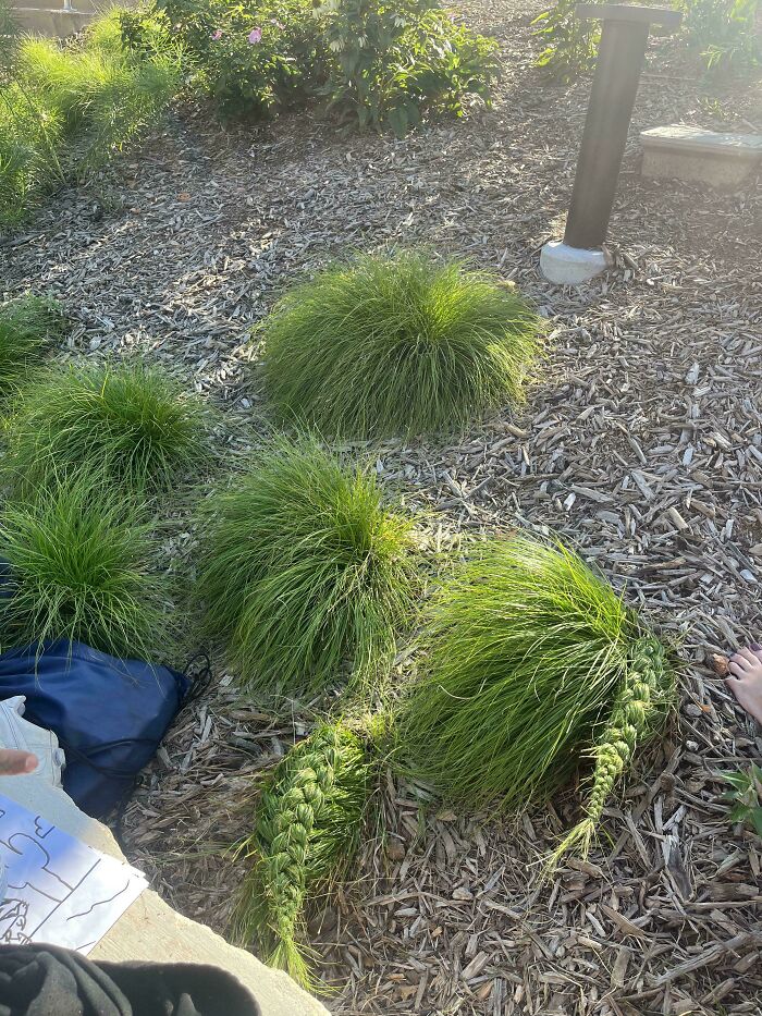 136 Times People Saw Something Moderately Interesting And Decided To Share It With The World (New Pics)