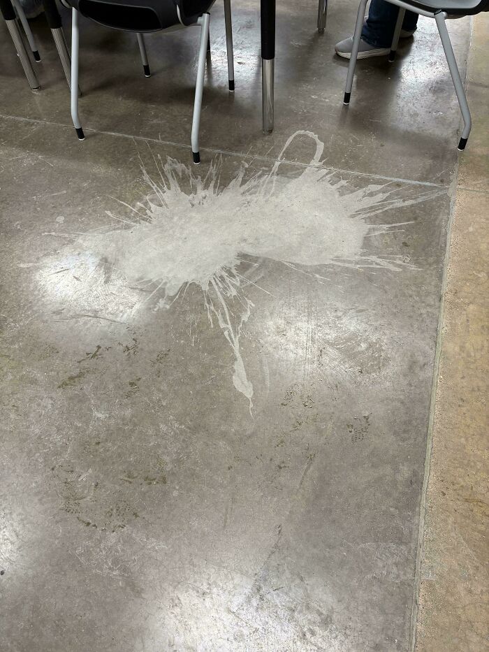136 Times People Saw Something Moderately Interesting And Decided To Share It With The World (New Pics)