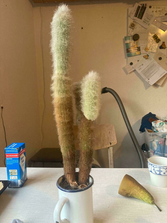 136 Times People Saw Something Moderately Interesting And Decided To Share It With The World (New Pics)