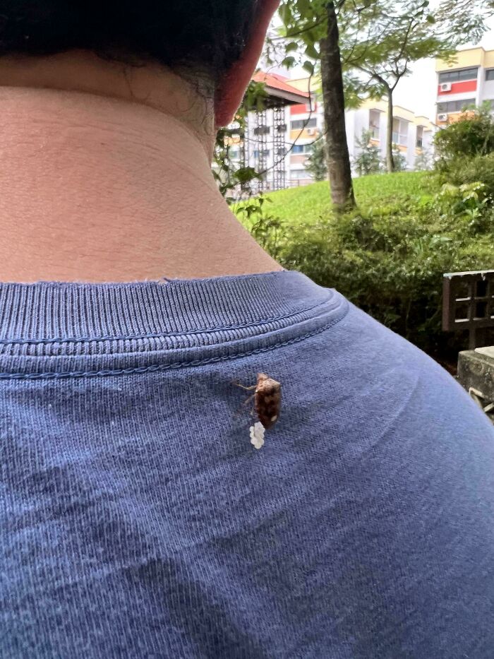 136 Times People Saw Something Moderately Interesting And Decided To Share It With The World (New Pics)