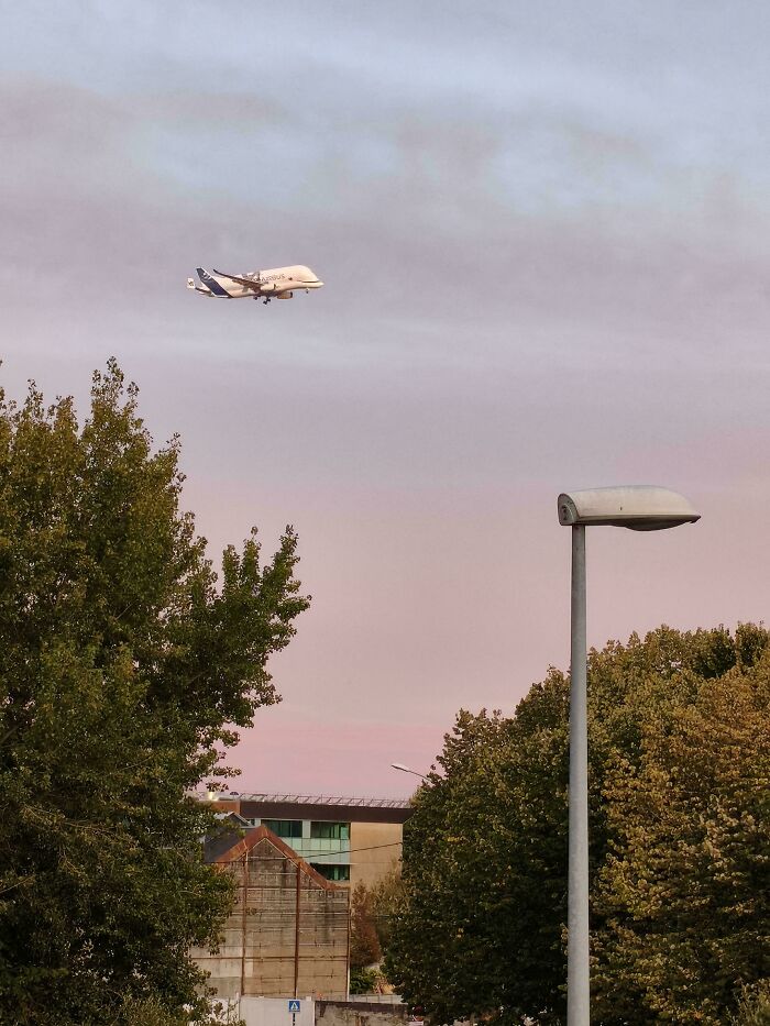 136 Times People Saw Something Moderately Interesting And Decided To Share It With The World (New Pics)