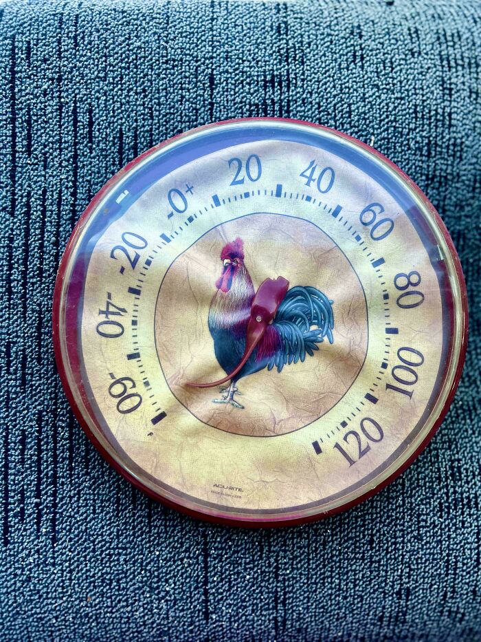 136 Times People Saw Something Moderately Interesting And Decided To Share It With The World (New Pics)