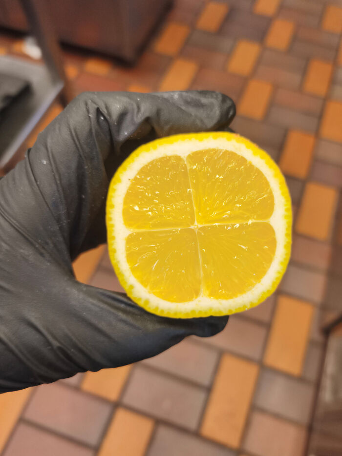 136 Times People Saw Something Moderately Interesting And Decided To Share It With The World (New Pics)