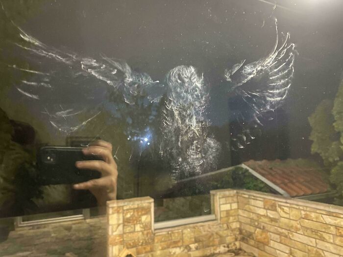 136 Times People Saw Something Moderately Interesting And Decided To Share It With The World (New Pics)