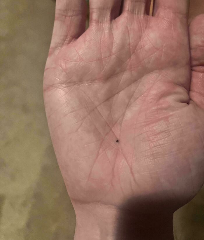 136 Times People Saw Something Moderately Interesting And Decided To Share It With The World (New Pics)