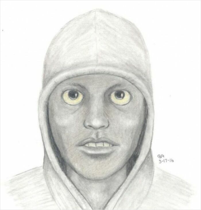 44 Times Police Sketches Looked More Like Really Bad Caricatures