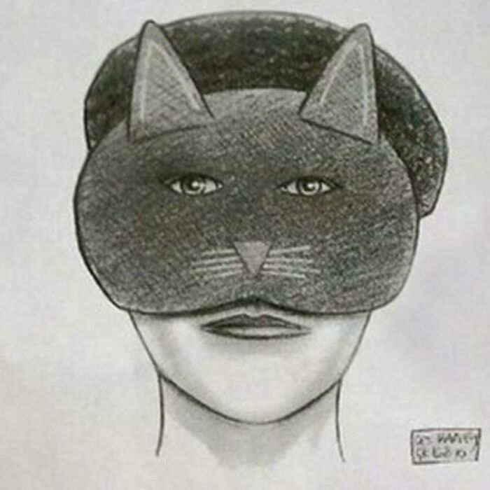 44 Times Police Sketches Looked More Like Really Bad Caricatures