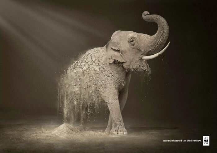 Here Are The 26 Best Elephant Ads That Are Absolutely Unforgettable