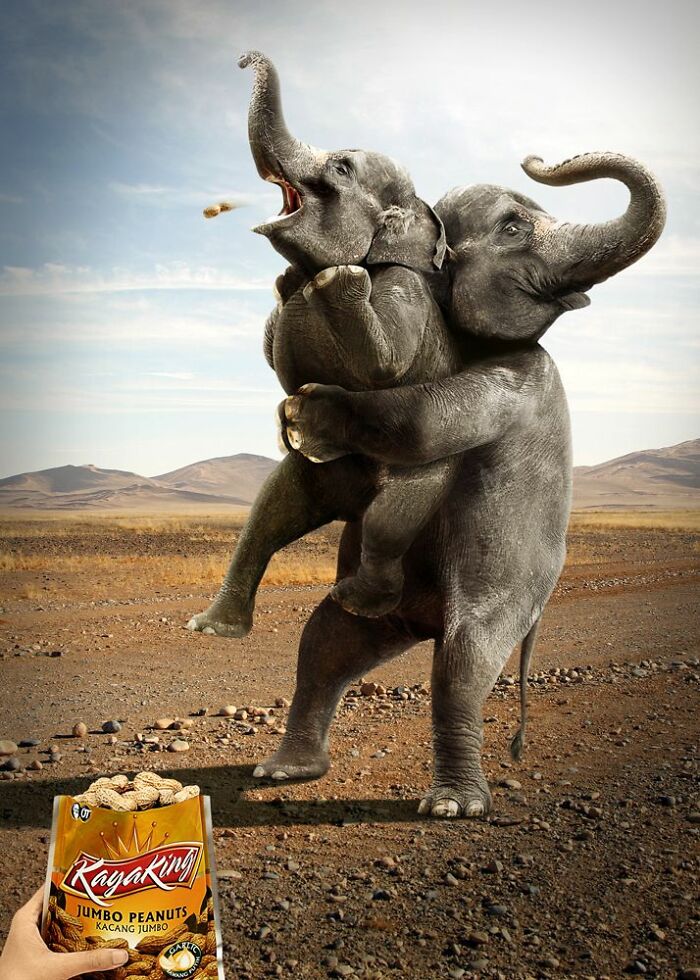 Here Are The 26 Best Elephant Ads That Are Absolutely Unforgettable