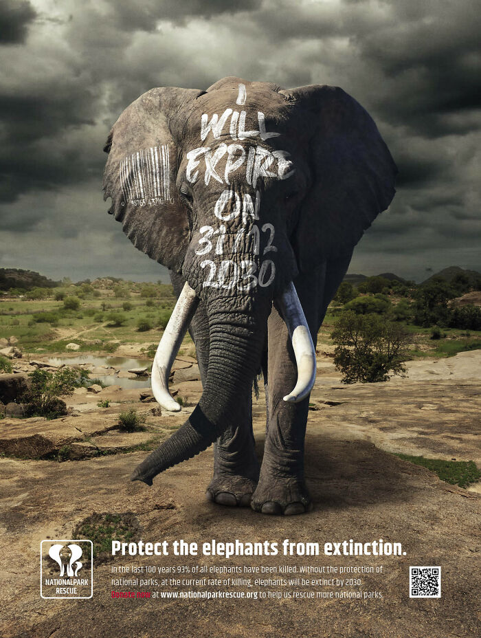 Here Are The 26 Best Elephant Ads That Are Absolutely Unforgettable