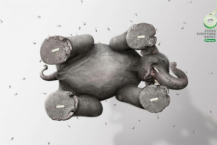 Here Are The 26 Best Elephant Ads That Are Absolutely Unforgettable