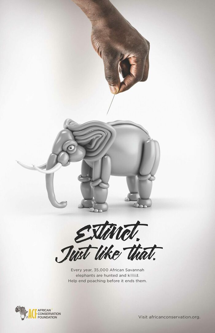 Here Are The 26 Best Elephant Ads That Are Absolutely Unforgettable