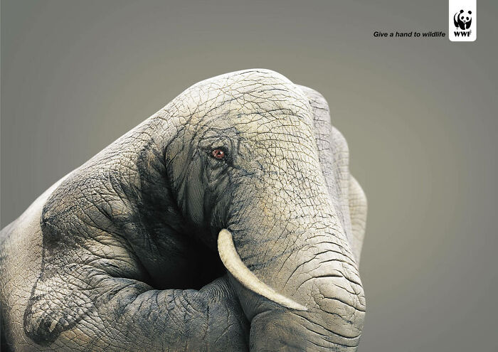 Here Are The 26 Best Elephant Ads That Are Absolutely Unforgettable
