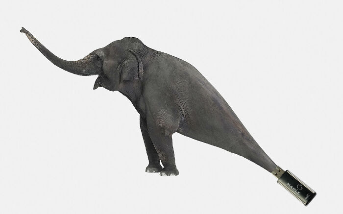 Here Are The 26 Best Elephant Ads That Are Absolutely Unforgettable