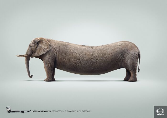 Here Are The 26 Best Elephant Ads That Are Absolutely Unforgettable
