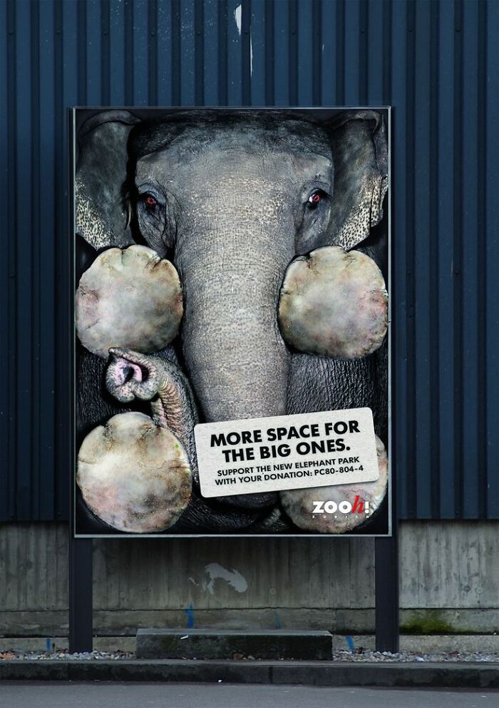 Here Are The 26 Best Elephant Ads That Are Absolutely Unforgettable