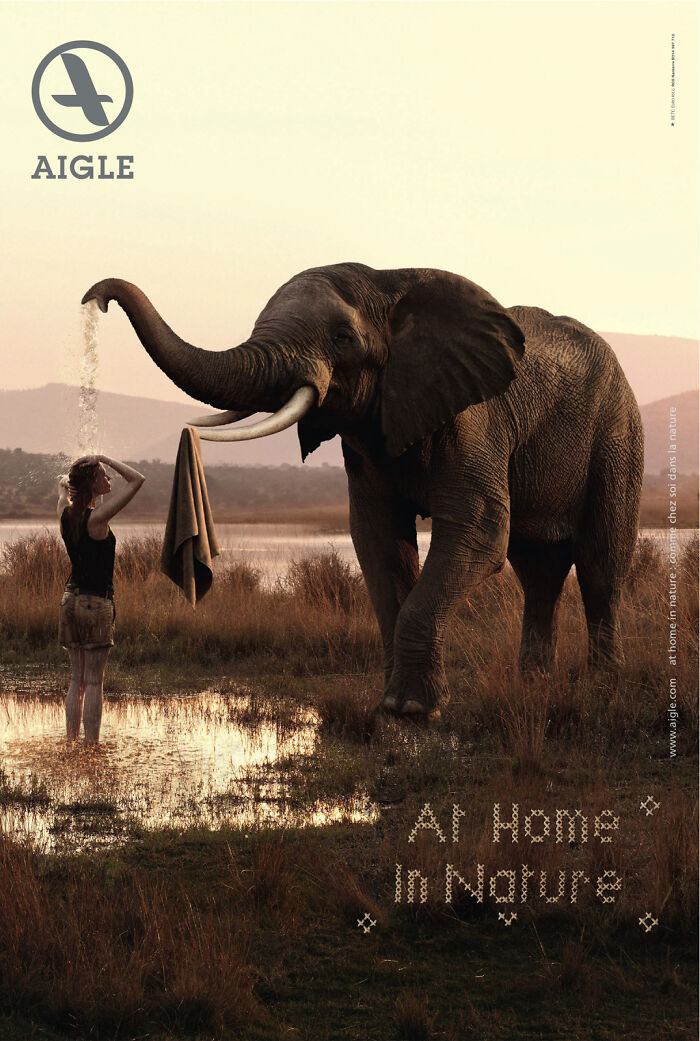 Here Are The 26 Best Elephant Ads That Are Absolutely Unforgettable