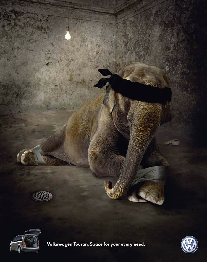 Here Are The 26 Best Elephant Ads That Are Absolutely Unforgettable