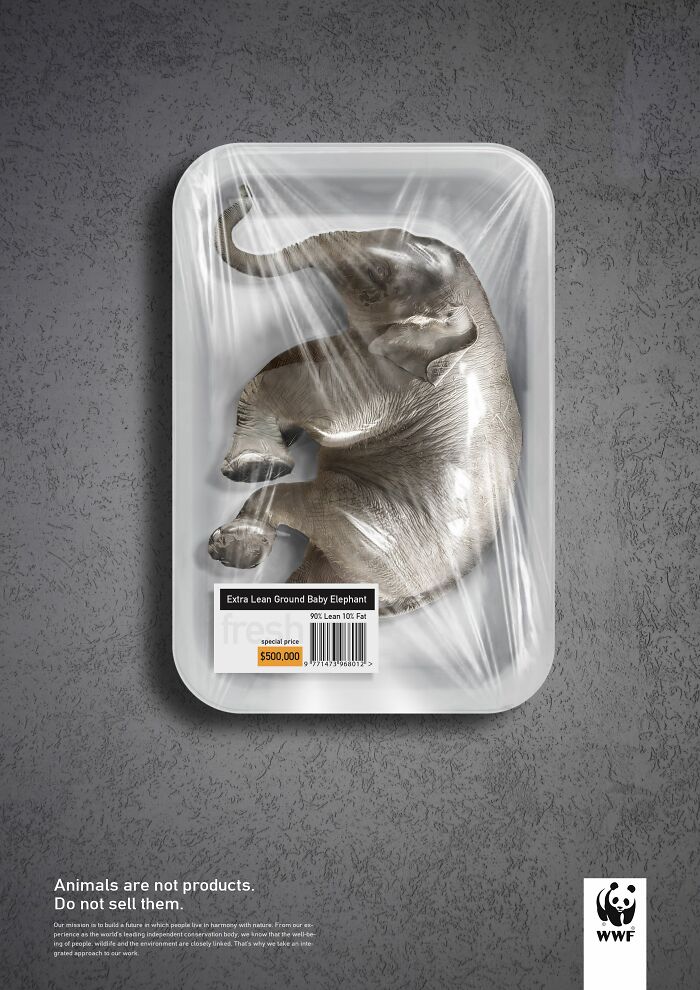 Here Are The 26 Best Elephant Ads That Are Absolutely Unforgettable