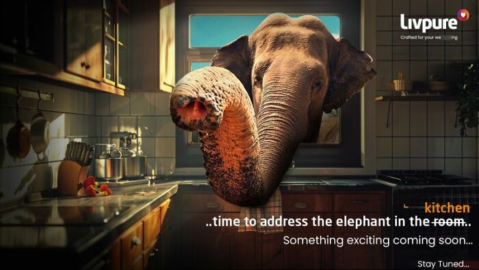 Here Are The 26 Best Elephant Ads That Are Absolutely Unforgettable