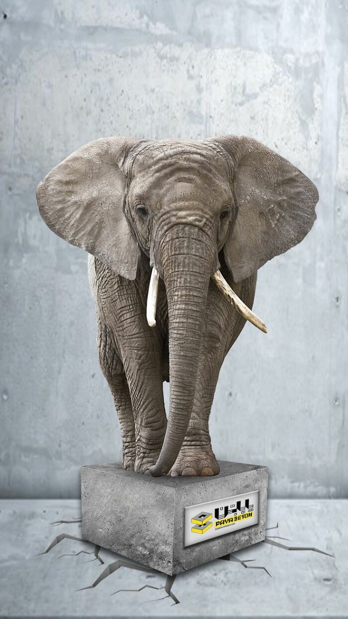 Here Are The 26 Best Elephant Ads That Are Absolutely Unforgettable