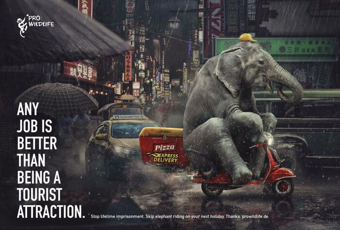Here Are The 26 Best Elephant Ads That Are Absolutely Unforgettable