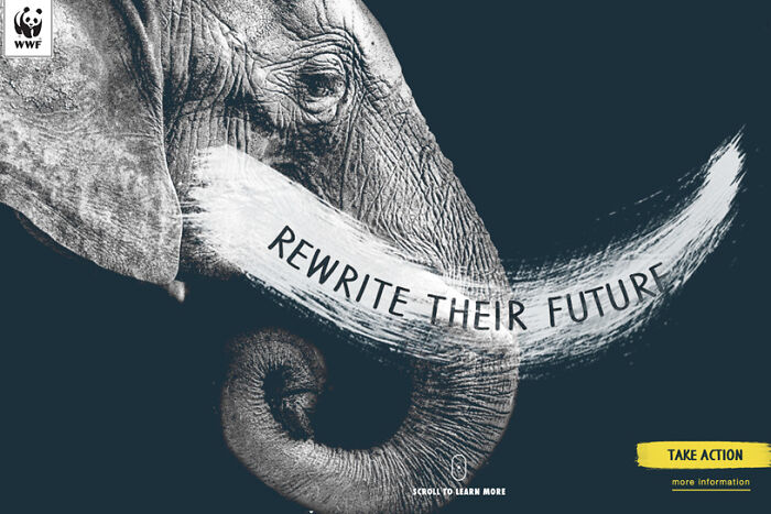 Here Are The 26 Best Elephant Ads That Are Absolutely Unforgettable