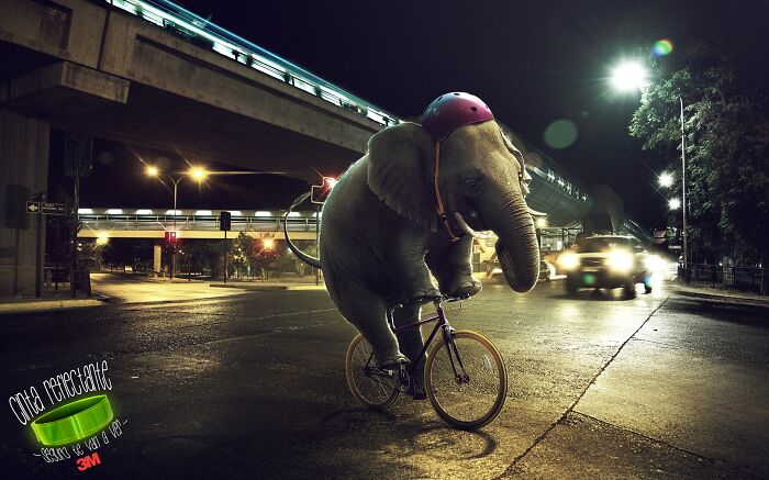 Here Are The 26 Best Elephant Ads That Are Absolutely Unforgettable