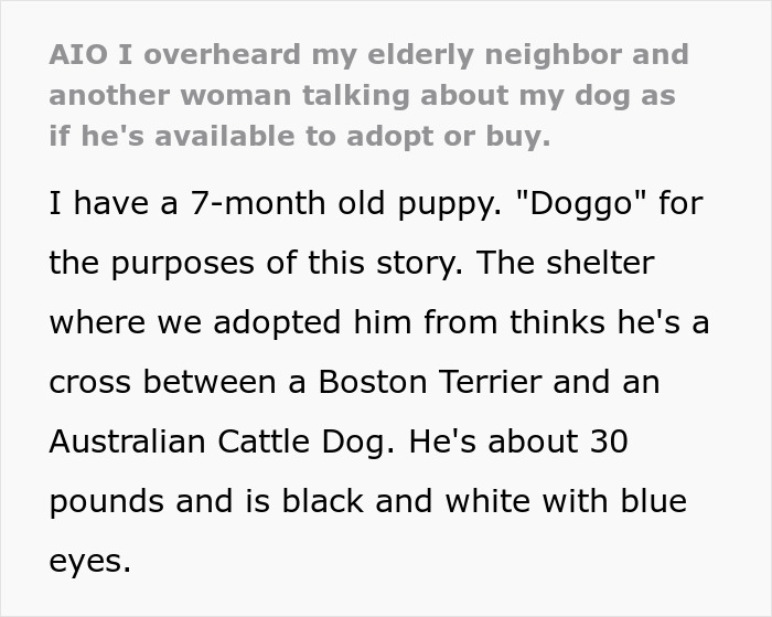 Elderly Lady Allegedly Plans To Steal Neighbor’s Doggo For Her Friend’s Daughter, Owner In Shock