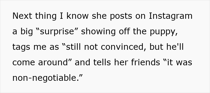 &#8220;[Am I The Jerk] For Being Furious My Wife Brought Home A Dog For Our 4YO For Her Safety?&#8221;