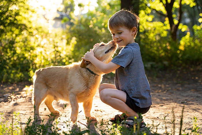 &#8220;[Am I The Jerk] For Being Furious My Wife Brought Home A Dog For Our 4YO For Her Safety?&#8221;