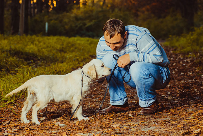 &#8220;[Am I The Jerk] For Being Furious My Wife Brought Home A Dog For Our 4YO For Her Safety?&#8221;
