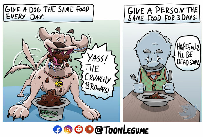 50 Funny, Random, And Totally Absurd Comics By Toonlegume