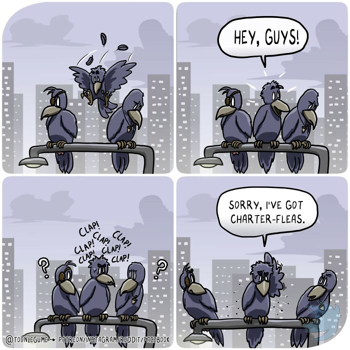 50 Funny, Random, And Totally Absurd Comics By Toonlegume