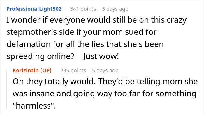 Teen Finds Stepmom’s Fake Sob Story About Difficult Stepkids Online, Exposes Her With Receipts