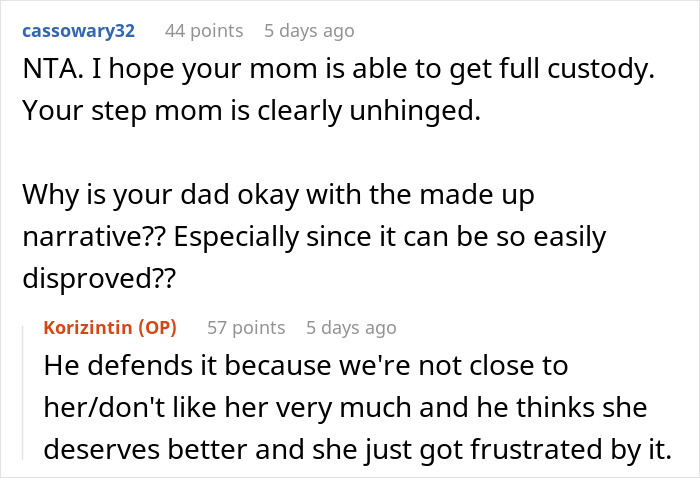 Teen Finds Stepmom’s Fake Sob Story About Difficult Stepkids Online, Exposes Her With Receipts