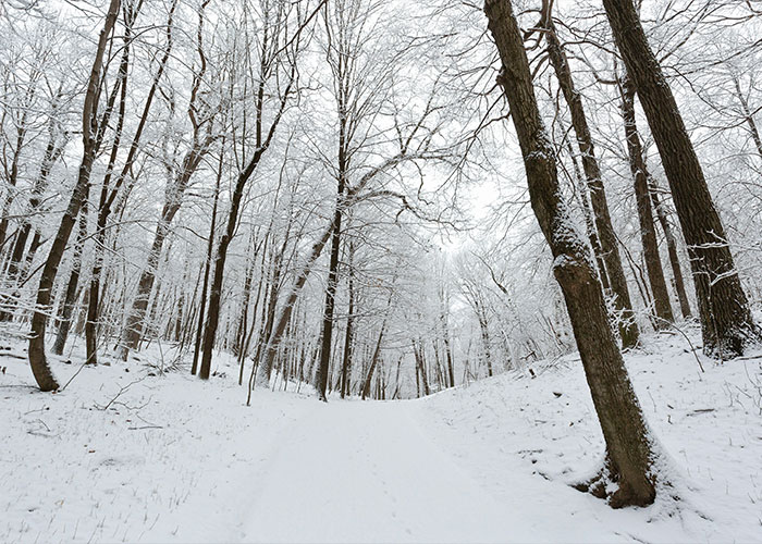 16YO Dad Covered Newborn Baby In Snow, Fired At Her Head Because He And Mom Didn’t Want Her