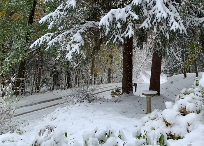 16YO Dad Covered Newborn Baby In Snow, Fired At Her Head Because He And Mom Didn’t Want Her