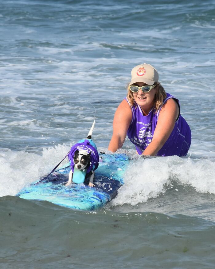 23 Pups Who Totally Nailed The Waves At The 2025 Surf Dog Surf-A-Thon
