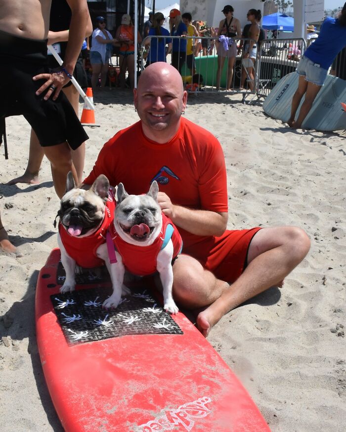23 Pups Who Totally Nailed The Waves At The 2025 Surf Dog Surf-A-Thon