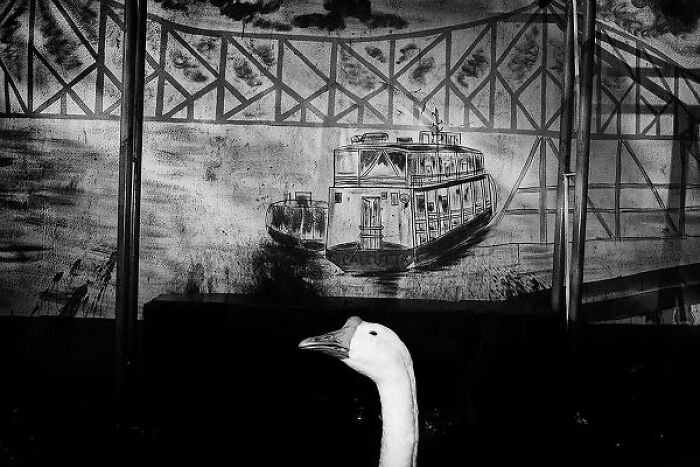 Life On The Streets Of India, Through 20 Beautiful Black-And-White Photos