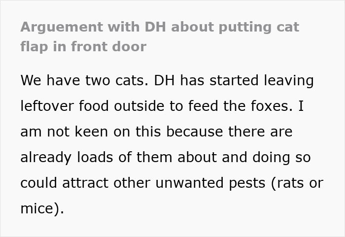 &#8220;He&#8217;s Clearly Bonkers&#8221;: Man Insists On Installing A Cat Flap, Wife Suspects It&#8217;s For His &#8220;Pet Fox&#8221;