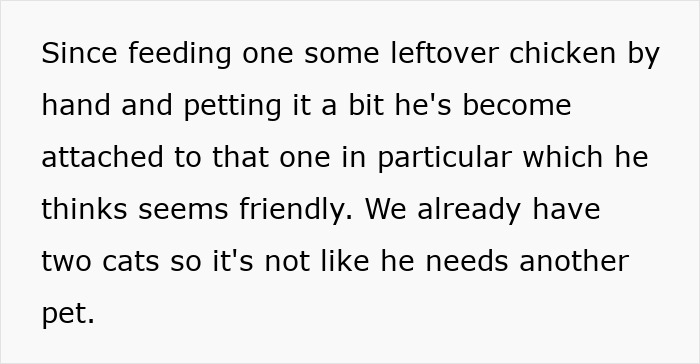 &#8220;He&#8217;s Clearly Bonkers&#8221;: Man Insists On Installing A Cat Flap, Wife Suspects It&#8217;s For His &#8220;Pet Fox&#8221;