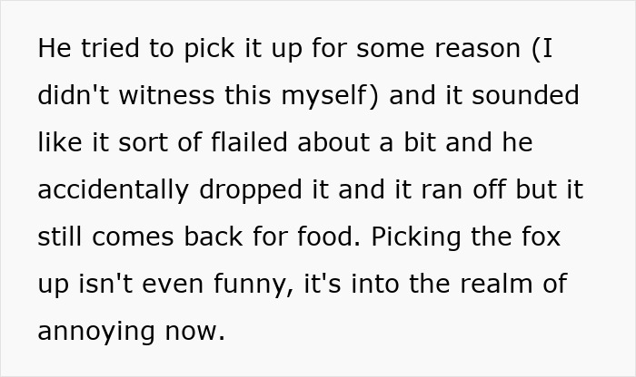 &#8220;He&#8217;s Clearly Bonkers&#8221;: Man Insists On Installing A Cat Flap, Wife Suspects It&#8217;s For His &#8220;Pet Fox&#8221;