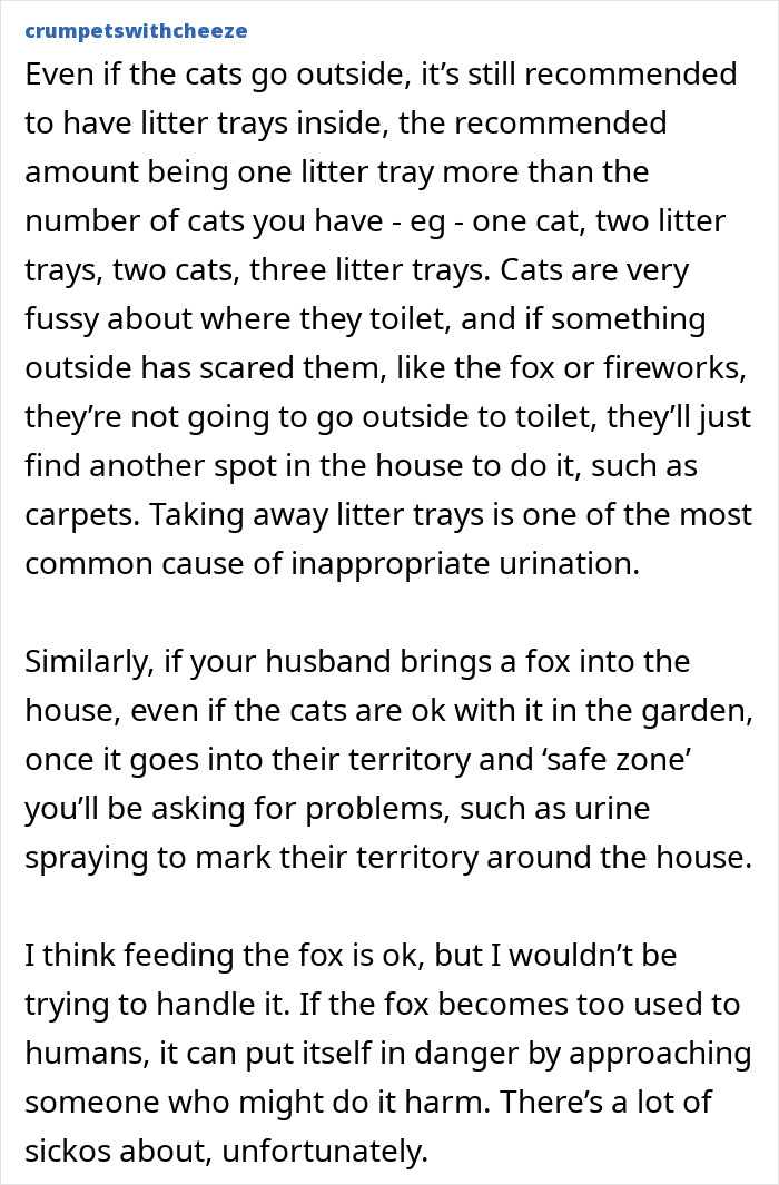 &#8220;He&#8217;s Clearly Bonkers&#8221;: Man Insists On Installing A Cat Flap, Wife Suspects It&#8217;s For His &#8220;Pet Fox&#8221;