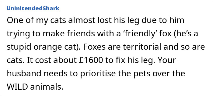&#8220;He&#8217;s Clearly Bonkers&#8221;: Man Insists On Installing A Cat Flap, Wife Suspects It&#8217;s For His &#8220;Pet Fox&#8221;