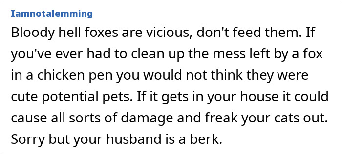&#8220;He&#8217;s Clearly Bonkers&#8221;: Man Insists On Installing A Cat Flap, Wife Suspects It&#8217;s For His &#8220;Pet Fox&#8221;