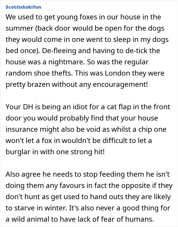 &#8220;He&#8217;s Clearly Bonkers&#8221;: Man Insists On Installing A Cat Flap, Wife Suspects It&#8217;s For His &#8220;Pet Fox&#8221;