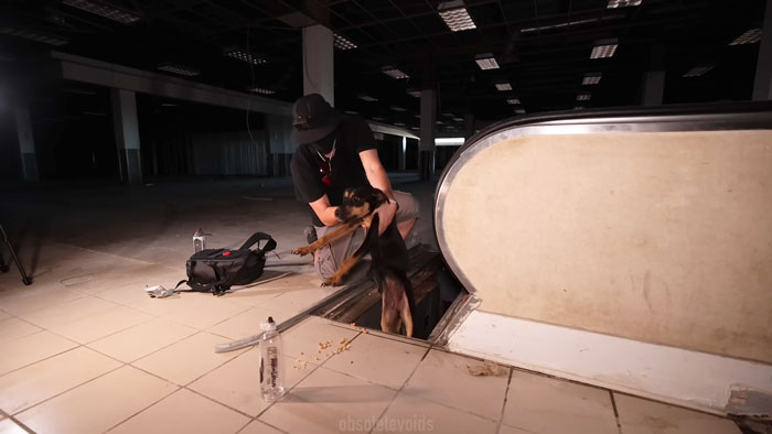 Influencers Exploring An Abandoned Mall Find A Dog Trapped Under An Escalator And Save The Day